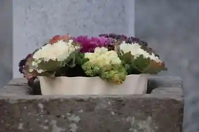 熊野福藏神社の手水舎