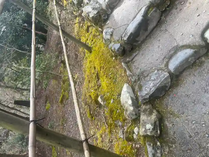 高山寺(京都府)