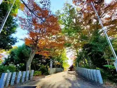 日吉神社のその他建物