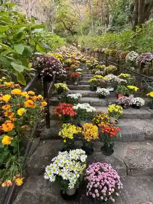 長谷寺(奈良県)