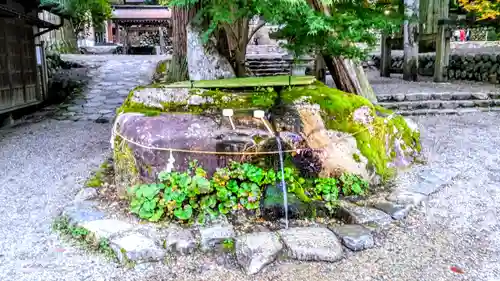 白川八幡神社の手水