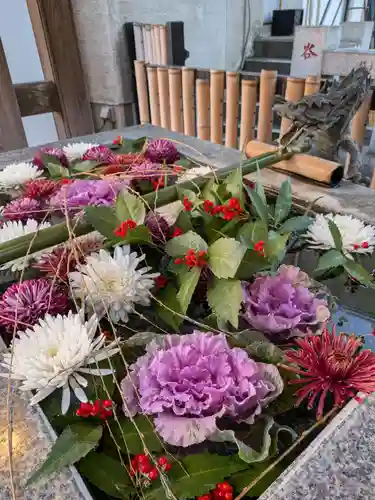 高円寺氷川神社(東京都)