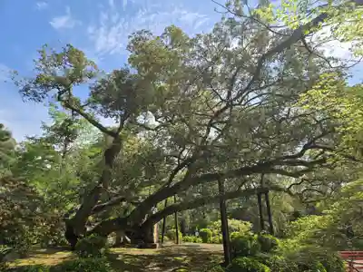 歌泉堂（春日大社神苑萬葉植物園内鎮座）(奈良県)