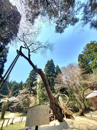 磐椅神社(福島県)