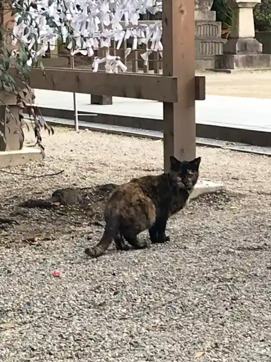 萩原神社の動物