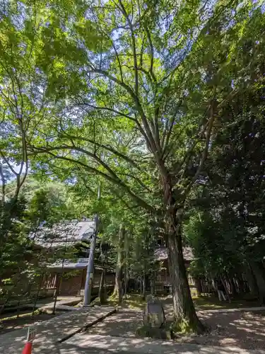 宇都宮二荒山神社の自然
