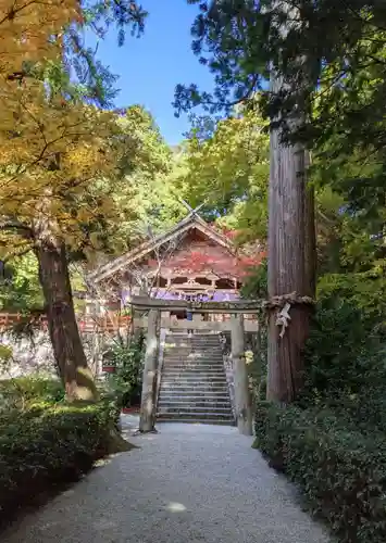 高鴨神社(奈良県)