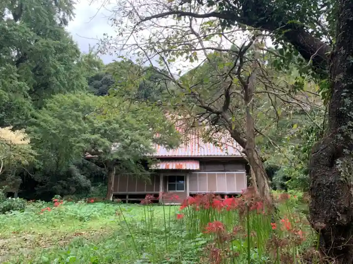 安養寺(千葉県)