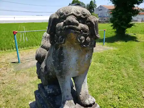 今市神社の狛犬