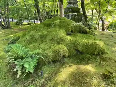 禅林寺(永観堂)(京都府)