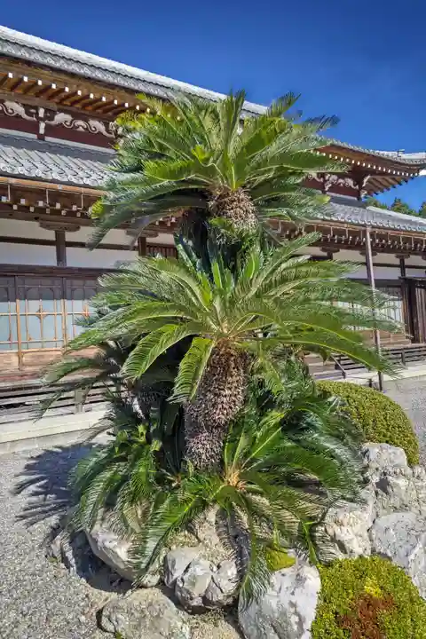 天喜寺(岐阜県)