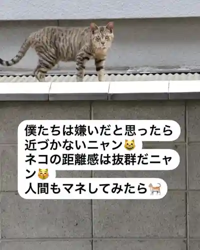 専念寺(大阪府)