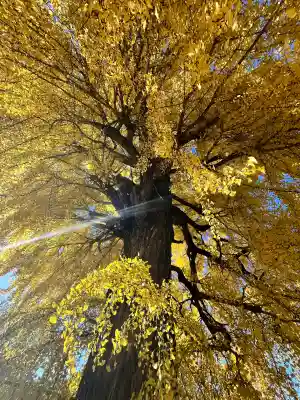 丹生酒殿神社(和歌山県)