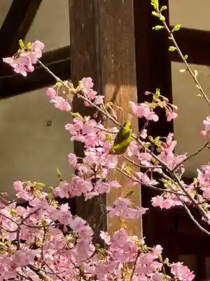 意賀美神社(大阪府)