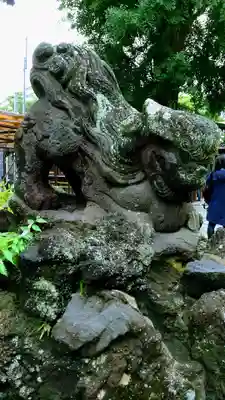 菊田神社の狛犬
