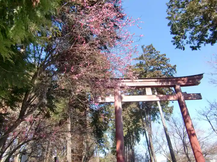 大前神社の鳥居