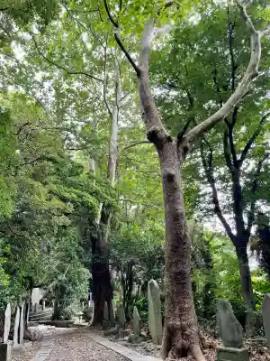 東福寺(神奈川県)