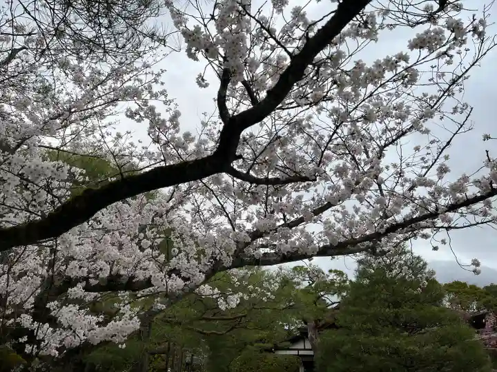 平安神宮(京都府)
