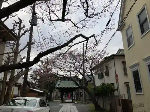 妙隆寺の山門