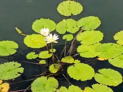 禅林寺(永観堂)(京都府)