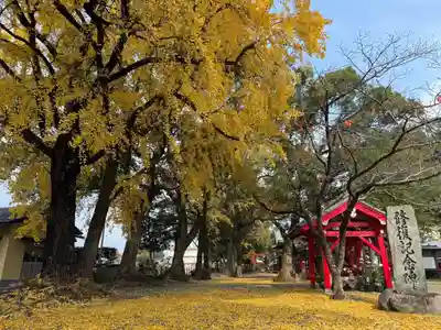 美奈宜神社(福岡県)