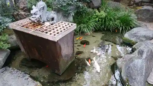厳嶋神社の手水舎