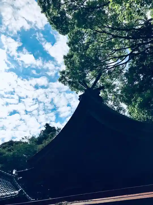 金刀比羅神社(茨城県)