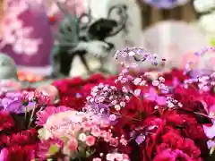 札幌諏訪神社の手水