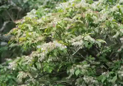 御寺 泉涌寺(京都府)