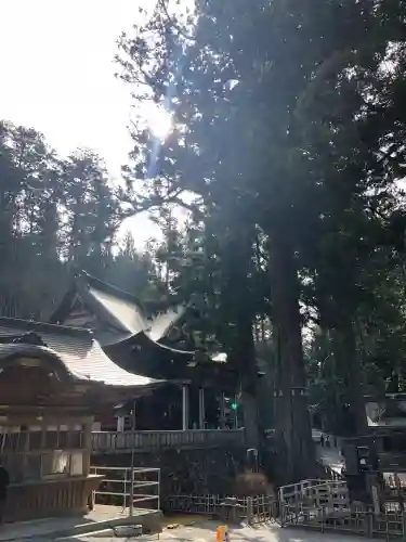 三峯神社(埼玉県)