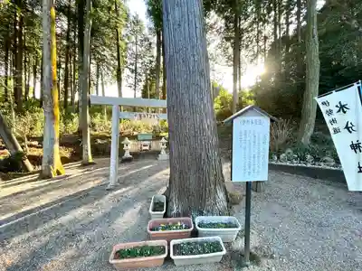 水分神社(三重県)