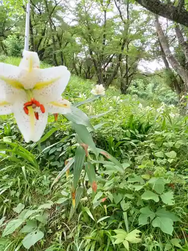 白狐山光星寺(山形県)