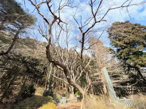 函館八幡宮(北海道)