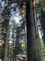 大宮温泉神社(栃木県)
