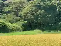 日枝神社(千葉県)