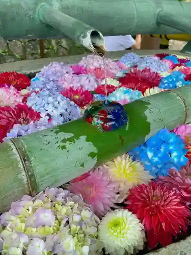 岡寺（龍蓋寺）(奈良県)