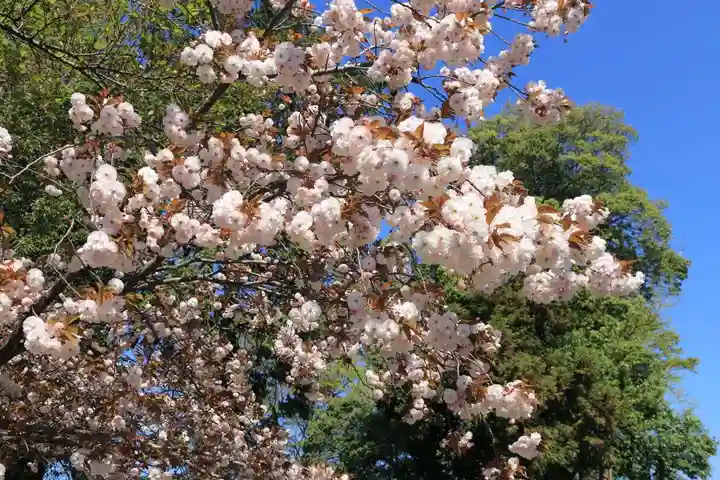 熊野福藏神社の自然