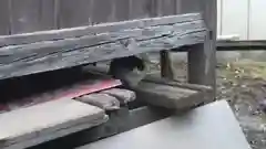 出雲神社の動物