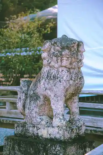 闘鶏神社(和歌山県)