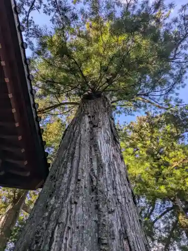 日光二荒山神社の{uncategorized: "未分類", other: "その他", undefined: "問題あり", building: "その他建物", grave: "お墓", sacred_gate: "鳥居", guardian: "狛犬", statue: "像", buddha: "仏像", history: "歴史", nature: "自然", garden: "庭園", animal: "動物", pagoda: "塔", temizu: "手水舎", mountain_gate: "山門・神門", sanctuary: "本殿・本堂", subordinate: "末社・摂社", art: "芸術", scenery: "景色", jizo: "地蔵", ema: "絵馬", goshuin: "御朱印", omikuji: "おみくじ", items: "授与品その他", amulet: "お守り", goshuincho: "御朱印帳", eats: "食事", festival: "お祭り", votive_dance: "神楽", shichigosan: "七五三参", wedding: "結婚式", experience: "体験その他", initially: "初詣", around: "周辺", anti_infection: "感染症対策"}