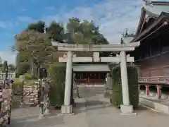 赤羽八幡神社の鳥居