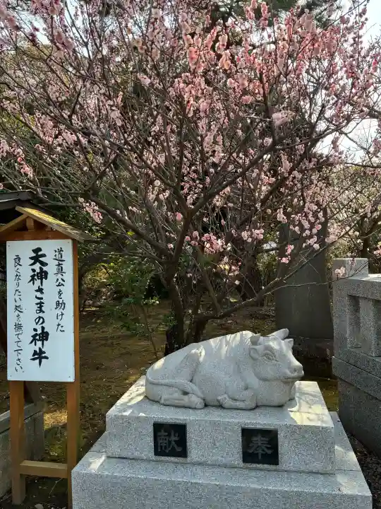 日枝天満宮の{uncategorized: "未分類", other: "その他", undefined: "問題あり", building: "その他建物", grave: "お墓", sacred_gate: "鳥居", guardian: "狛犬", statue: "像", buddha: "仏像", history: "歴史", nature: "自然", garden: "庭園", animal: "動物", pagoda: "塔", temizu: "手水舎", mountain_gate: "山門・神門", sanctuary: "本殿・本堂", subordinate: "末社・摂社", art: "芸術", scenery: "景色", jizo: "地蔵", ema: "絵馬", goshuin: "御朱印", omikuji: "おみくじ", items: "授与品その他", amulet: "お守り", goshuincho: "御朱印帳", eats: "食事", festival: "お祭り", votive_dance: "神楽", shichigosan: "七五三参", wedding: "結婚式", experience: "体験その他", initially: "初詣", around: "周辺", anti_infection: "感染症対策"}