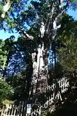 玉置神社の建物その他