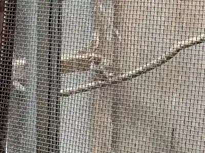 引接寺(千本ゑんま堂)(京都府)