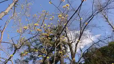 岩殿山安楽寺（吉見観音）のその他建物