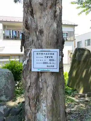 浅間神社(千葉県)