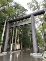 北海道神宮の鳥居