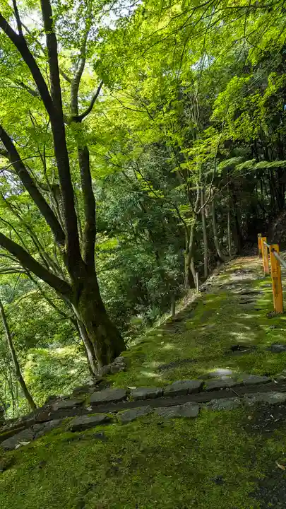 善峯寺(京都府)