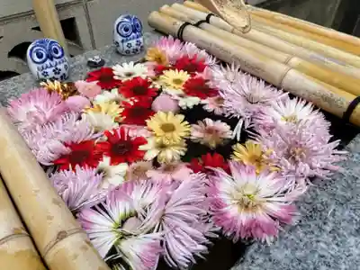 【閉業】小石川大神宮の手水舎