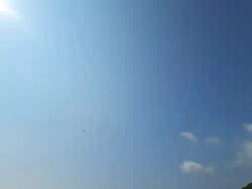 屋久島大社の動物